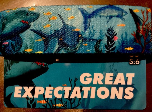 Zox great expectations - great,