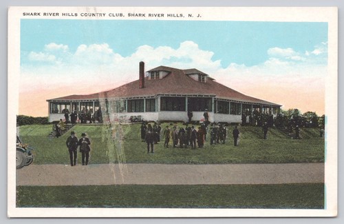 Postcard shark river hills - postcard,